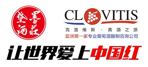 當代咨詢視角下，成功紅集團如何借助企業管理咨詢實現轉型升級