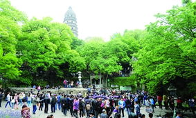 旅游服務新篇章 以品質提升為核心，借力廣告與傳播媒體運營引客來