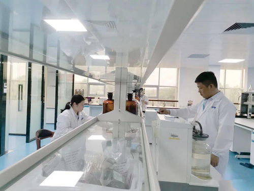 立興食品 打造國家級檢測中心，鍛造品質生命線——西安連城檢測技術揭牌紀實